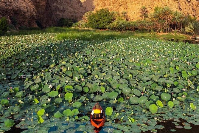 Private Trip in Wadi Shab - Key things to know before you go