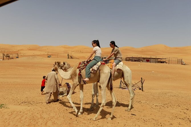 Private Wahiba Sand Desert and Wadi Hawar - Full Day Tours - Who this tour suits best (and who should rethink it)