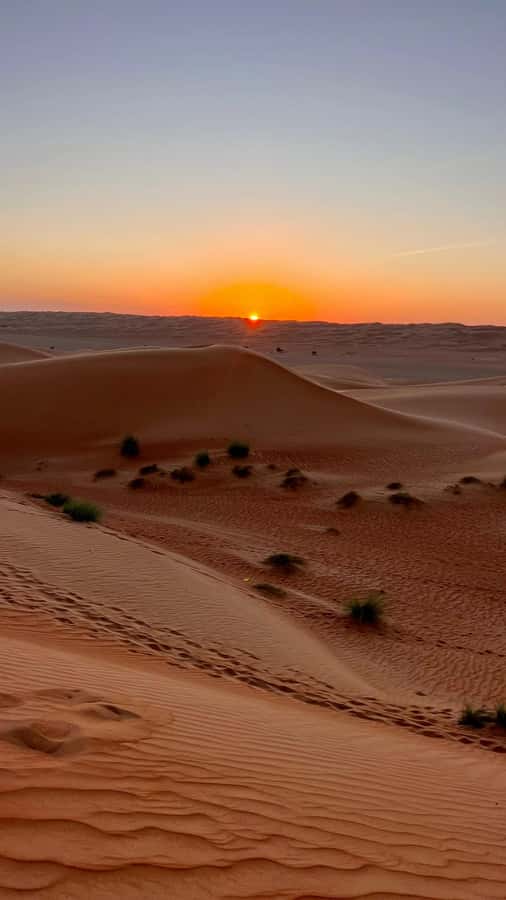 Safari World Zoo and Wahiba Sands with Sunset - Who Should Book This Tour, and Who Should Skip It