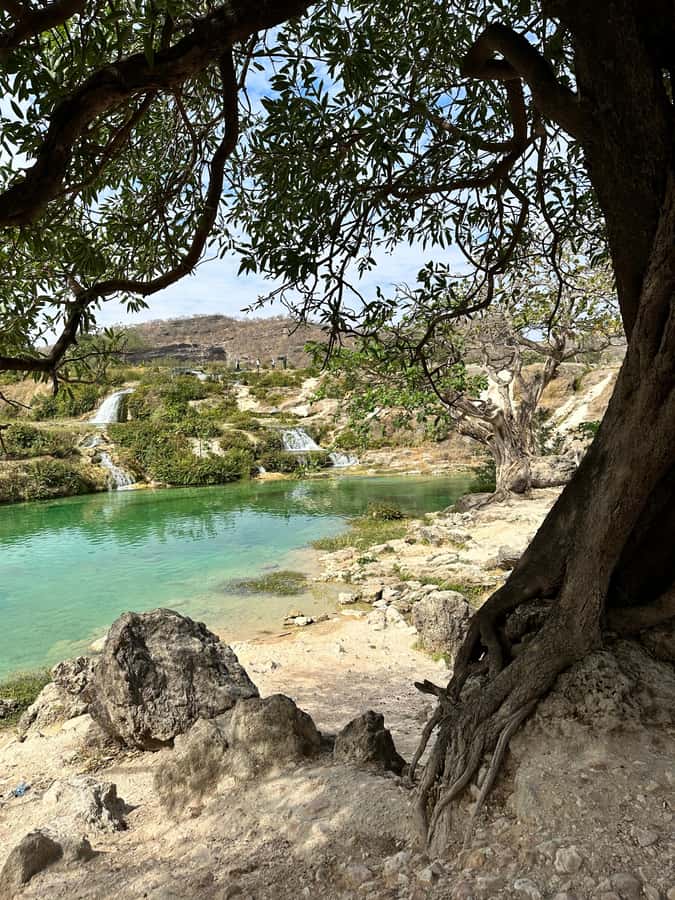 Salalah a combination of East and West tour - Key highlights