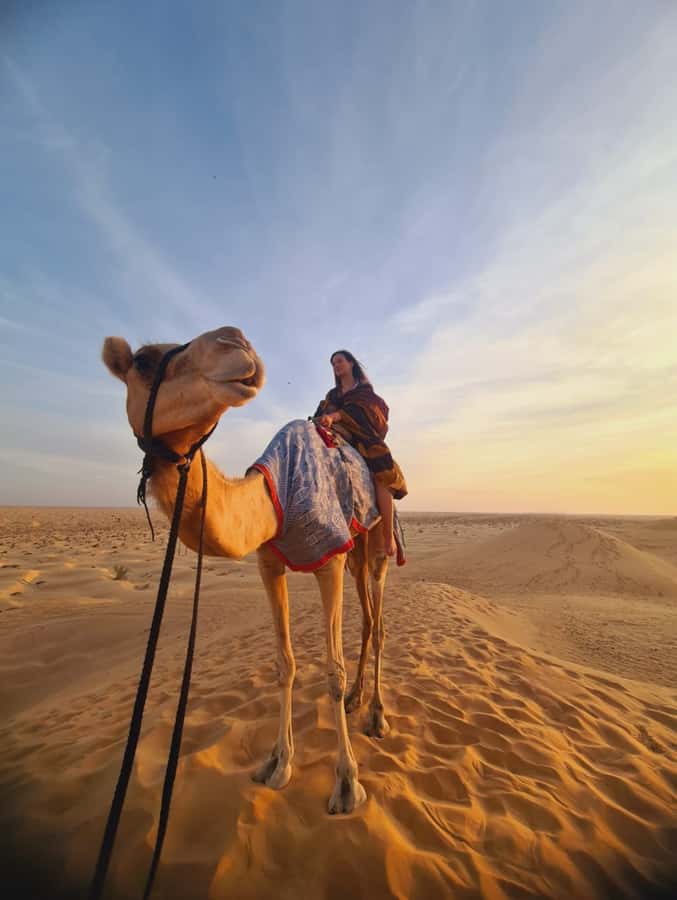 Salalah: Bedouin Tent Night Stay in Desert + Sunset Safari - Key highlights at a glance