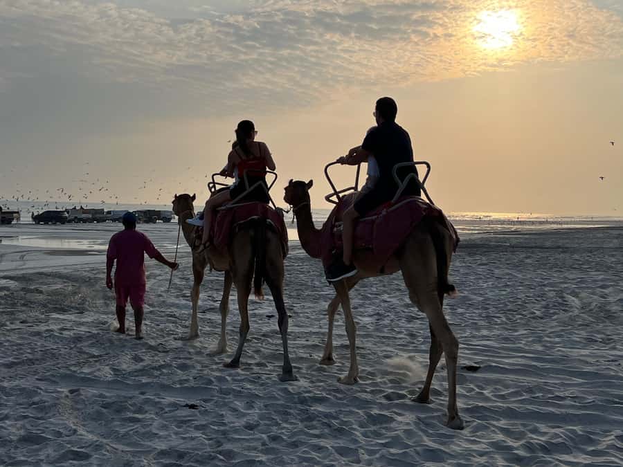 Salalah: Camel Riding on the Beach - Key highlights to know before you go