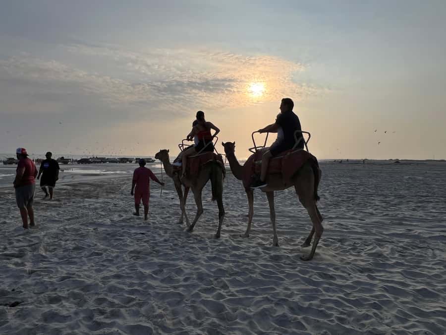 Salalah: Camel Riding on the Beach - Camel riding on Salalah’s beach, and why it feels different