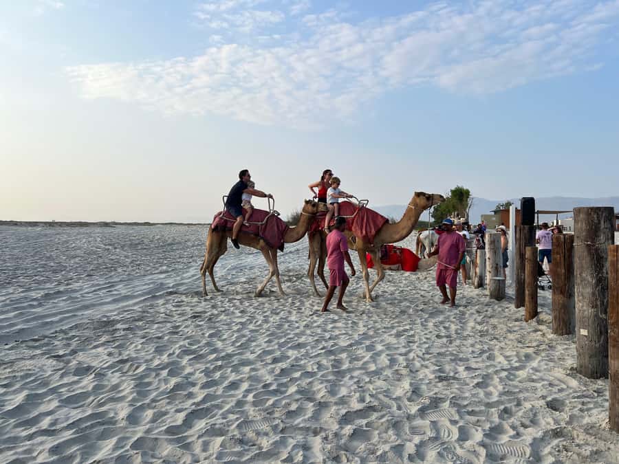 Salalah: Camel Riding on the Beach - The pink-dress meet-up and what happens before you mount
