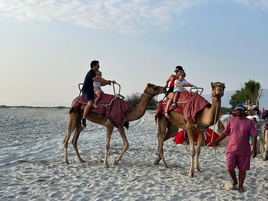 Salalah: Camel Riding on the Beach - How the sunset timing shapes your ride