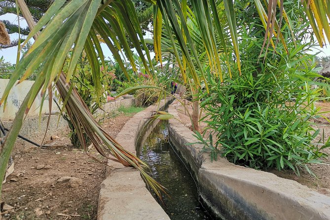 Salalah City private tour - all-inclusive sightseeing tour - Dahariz Beach at Khor End: fish, birds, and a breather from the city