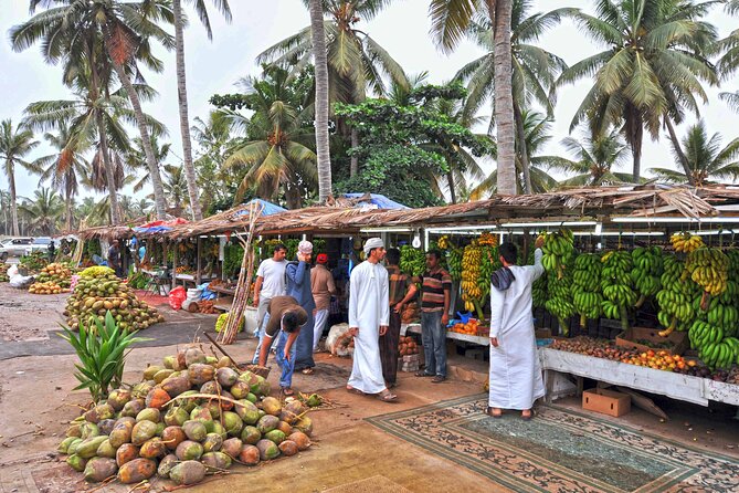 Salalah City Tour: Discover Salalahs Treasures with a Local Guide - Price and what you get for $125 per person