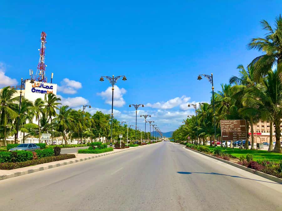 Salalah City Tour: Discover the Best of Oman’s Coastal Gem - Fish Market stop, real life before souvenirs