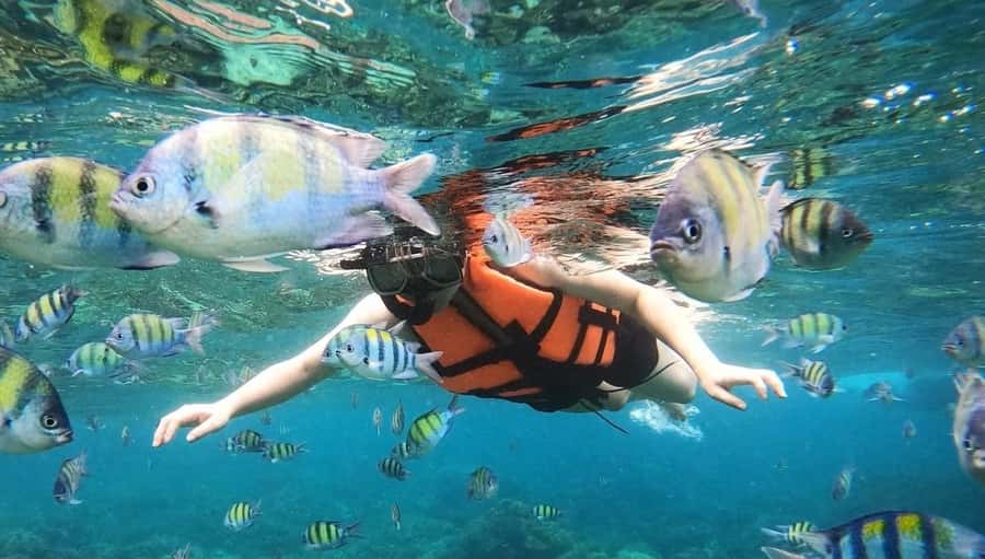Salalah: Discover Mirbat's Snorkeling Paradise Guided Tour - 4 to 6 hours of guided snorkeling: the flow of your half-day