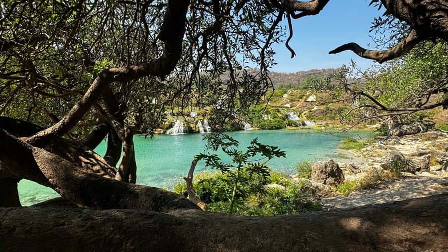 Salalah East Adventure: Waterfalls, Mountain & Safari - Baobab Trees: The Mysterious Stop That Breaks Up the Scenery