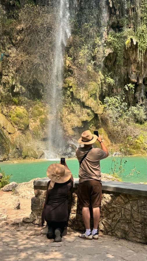 Salalah East Tour: Taqah , Darbat waterfall,camel's baobab - Camels and camel’s baobab: the Dhofar oddball moment