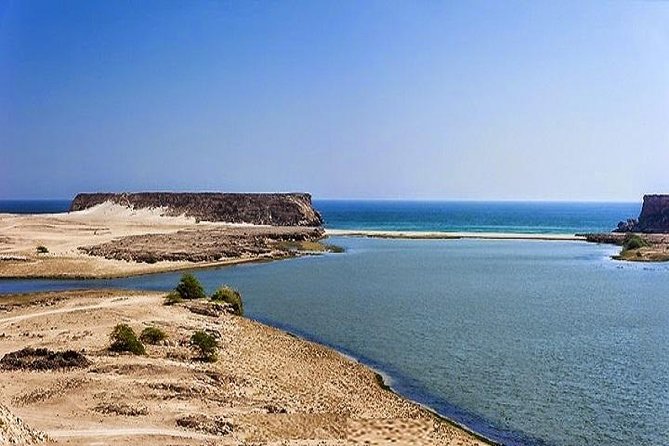 Salalah East & West Combination(Salalah tours):Oman Shore excursions - Stop 8: Al Mughsail Beach, Blow Holes, and Frankincense Trees in the Valleys