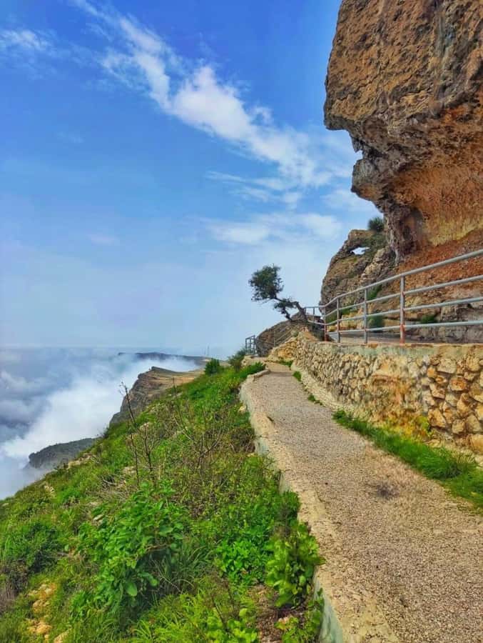 Salalah: Half-Day Guided Tour to Wadi Darbat & Mount Samhan - How the guide changes everything (Salma, Hammed, Salim, Amin, and Ali Nawser)