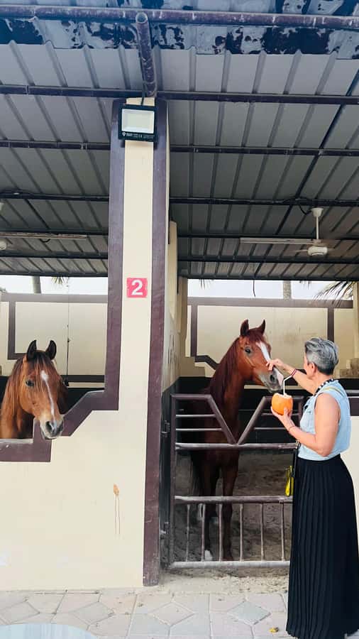 Salalah: Horse Riding by the Beach - Small Groups, Big Attention (Up to 4 Riders)