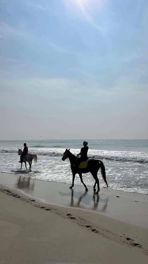 Salalah: Horse Riding by the Beach - Who Should Book This Beach Horse Ride