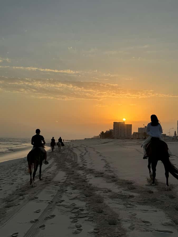 Salalah: Horse Riding by the Beach - Quick Reality Check Before You Go