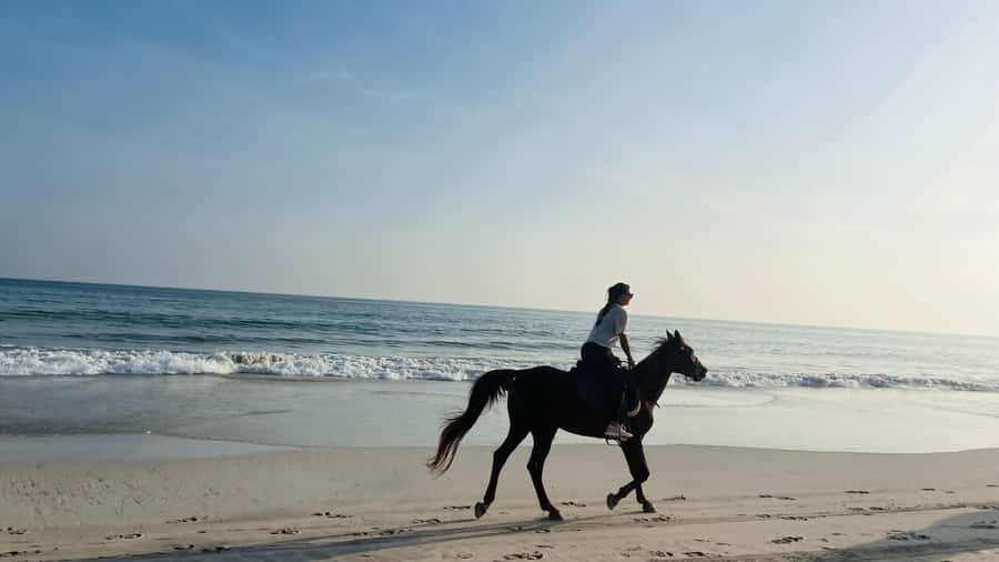 Salalah: Horse Riding by the Beach - Your Salalah Pickup and Getting to the Beach