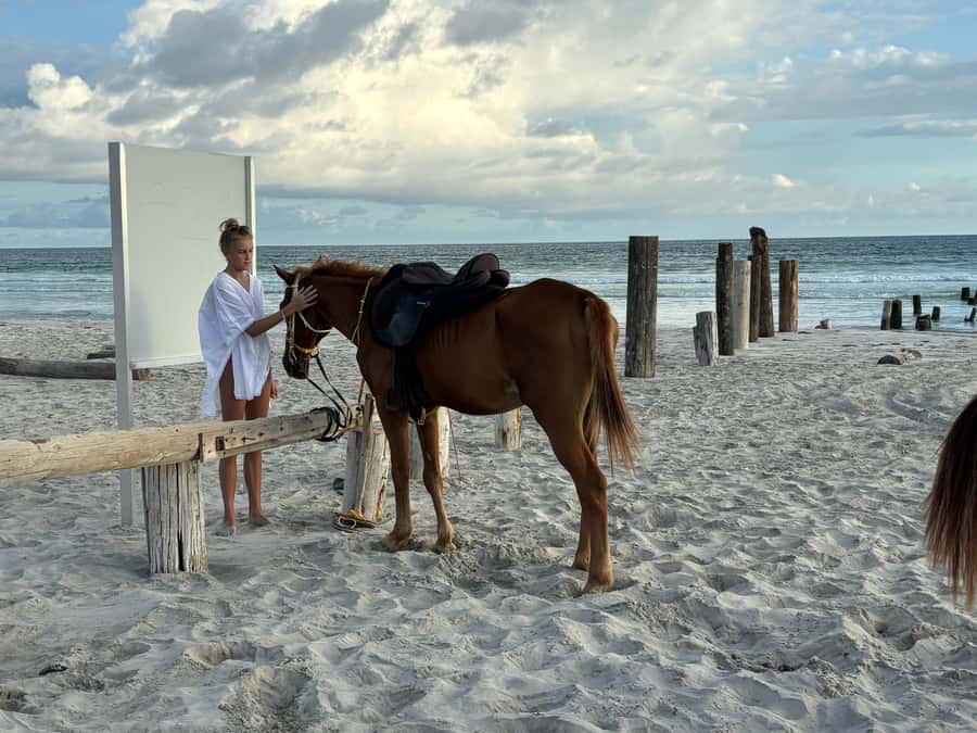 Salalah Horse Riding on the Beach optional Hotel Pick & Drop - Salalah Beach at Golden Hour, with a Horse Under You