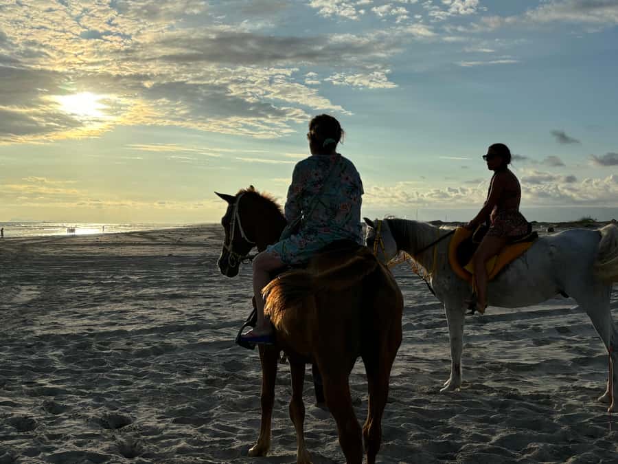 Salalah Horse Riding on the Beach optional Hotel Pick & Drop - How the Ride Works: 30 Minutes vs 1 Hour on Sand