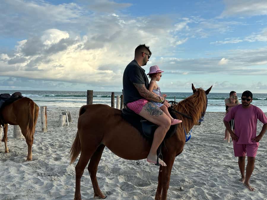 Salalah Horse Riding on the Beach optional Hotel Pick & Drop - What Hotel Pick-Up Changes (and When It’s Worth Paying More)