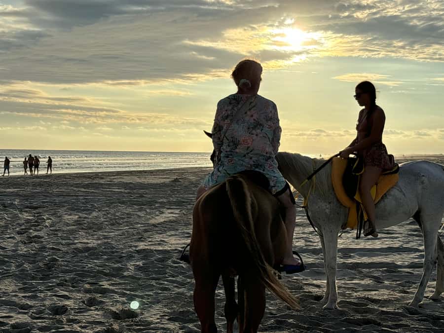 Salalah Horse Riding on the Beach optional Hotel Pick & Drop - Safety and Horse Care: The Calm Control You Feel