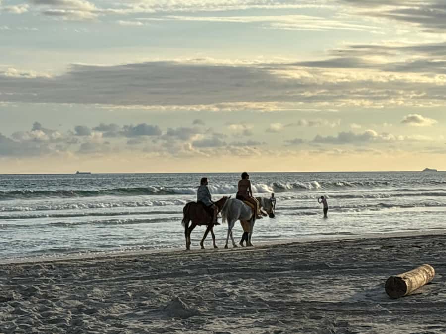 Salalah Horse Riding on the Beach optional Hotel Pick & Drop - Price and Value: Why It Costs $36 (and What You Get for It)