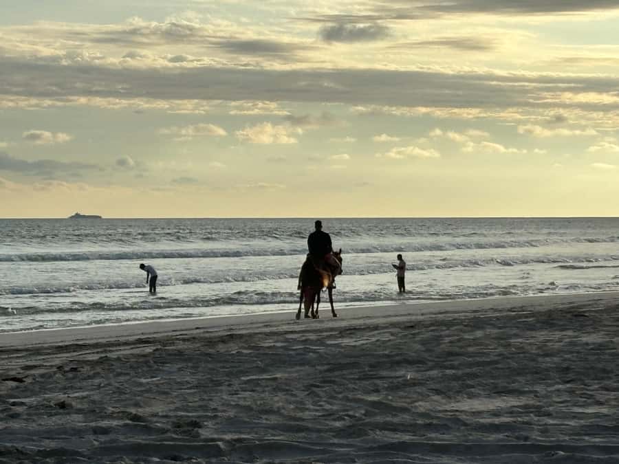 Salalah Horse Riding on the Beach optional Hotel Pick & Drop - What to Bring and What to Wear for a Comfortable Ride