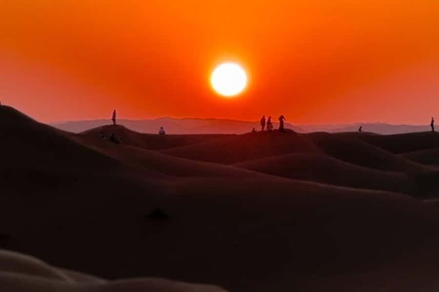 Salalah: Sunset desert safari tour in salalah(private tour) - Why this Salalah sunset desert safari feels more personal