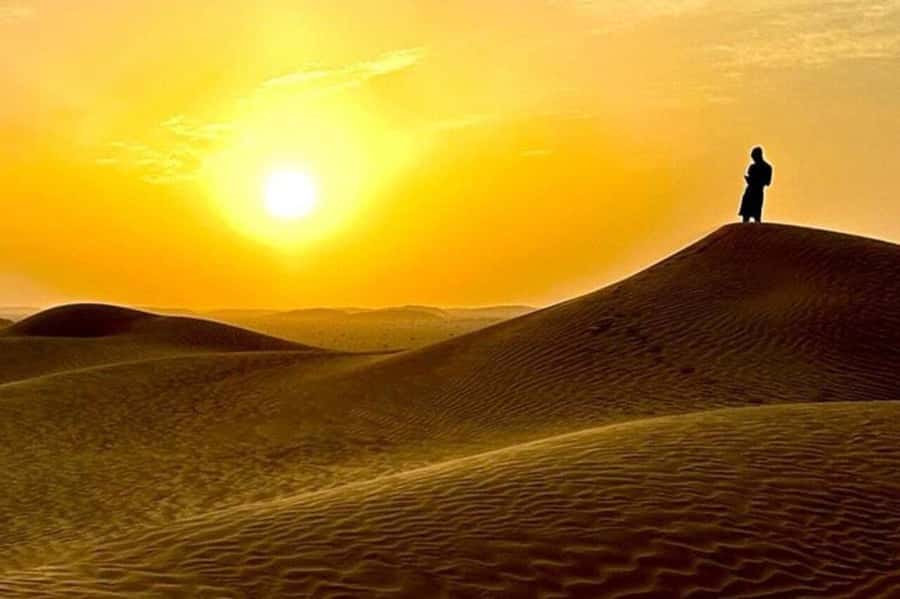 Salalah: Sunset desert safari tour in salalah(private tour) - Getting there and around: pickup, private SUV, and pacing