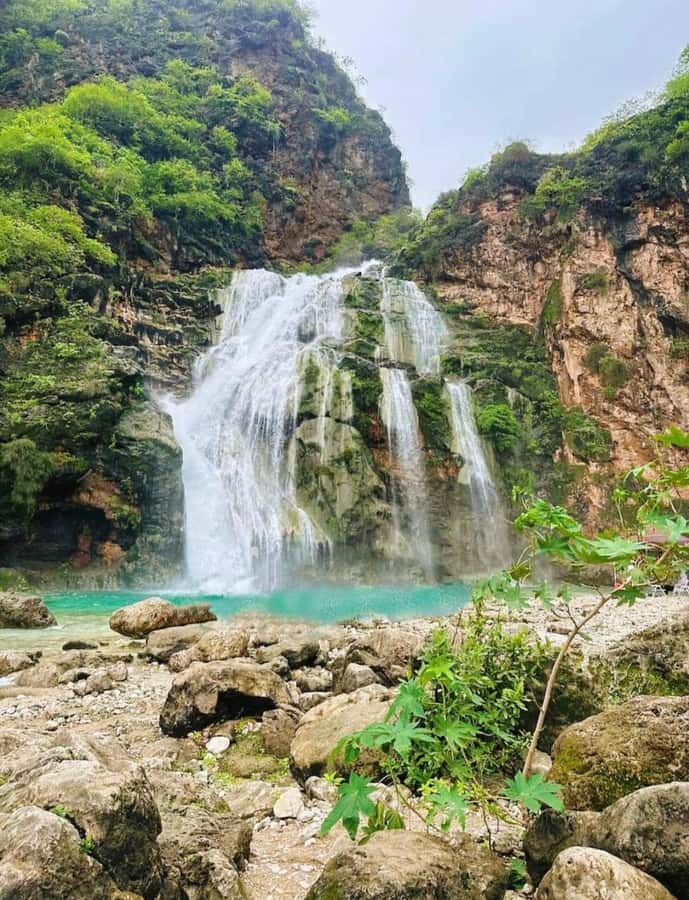 Salalah: Wadi Darbat, ,Teeq Cave - Baobou Trees Tour - Wadi Darbat Waterfalls: plan for the season, not just the photos