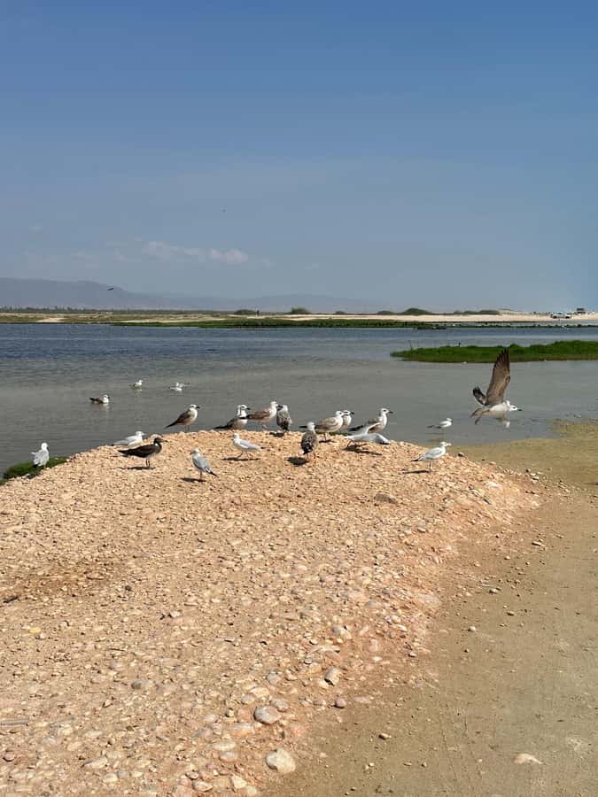 Salalah: Wadi Derbat, Jabal Samhan, & Sinkhole Private Tour - Taqah Village and the Coastal Pause You Will Appreciate