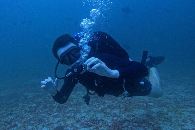 Scuba Diving Adventure in Musandam, Oman - Gear included, plus what to pack (towels and swimwear)