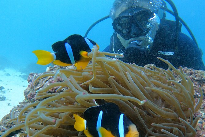 Scuba Diving in muscat - Key points I’d plan around