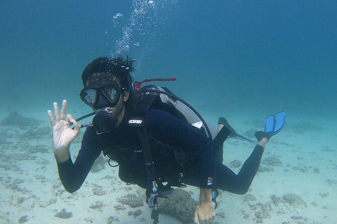Scuba Diving in muscat - Arriving at Al Seeb Port, and Why the Morning Timing Helps