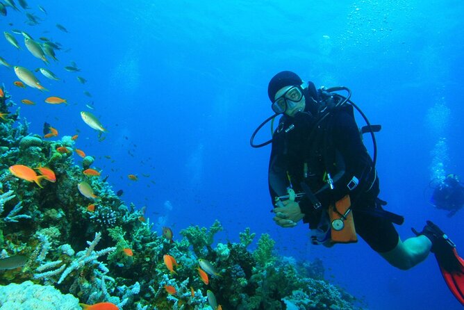Scuba Diving to Dimaniyat Islands Muscat Oman - Daymaniyat Islands off Muscat: why this marine reserve matters