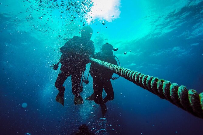 Scuba Diving to Dimaniyat Islands Muscat Oman - The morning flow from Seeb: 8:30 am start and an easy schedule