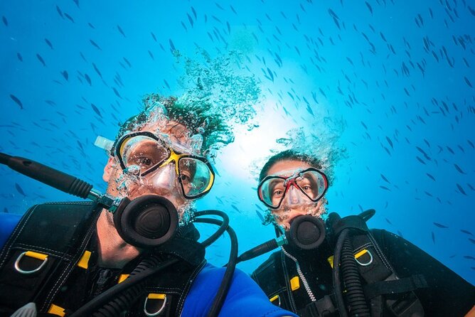 Scuba Diving to Dimaniyat Islands Muscat Oman - A practical itinerary breakdown: what happens during the 5 hours