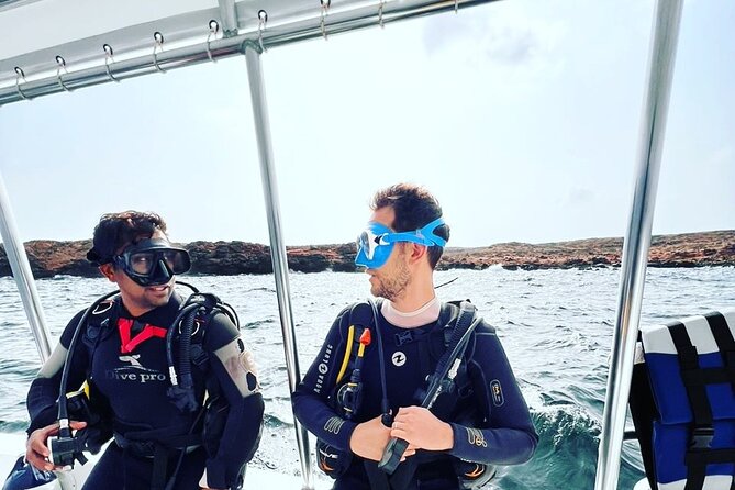 Scuba Diving Trips to Dimaniyat Islands - The wildlife checklist: what to look for beneath the waves