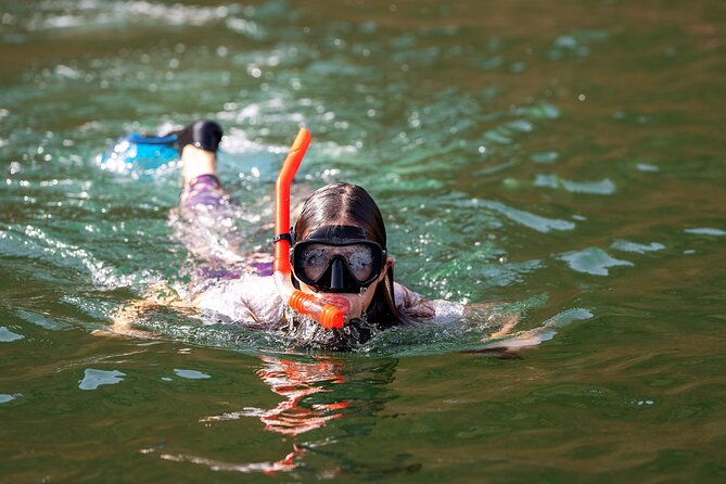 Sea Wonders Dolphin Watching and Snorkeling in Muscat - Quick highlights