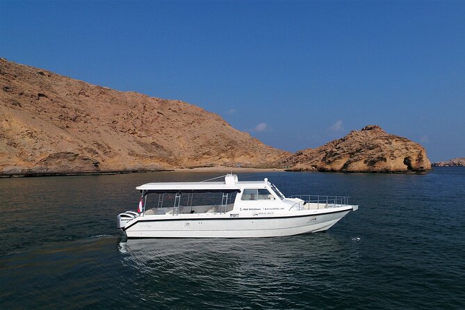 Sea Wonders Dolphin Watching and Snorkeling in Muscat - Snorkeling in Muscat: Corals, Fish, and a Turtle Moment