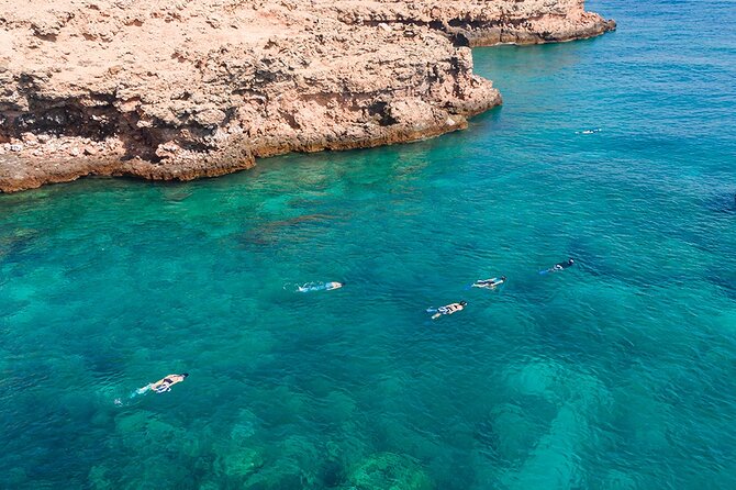 Snorkeling Adventure to Daymaniat Islands - Between the swims: lunch, snacks, and the rhythm of a proper half-day