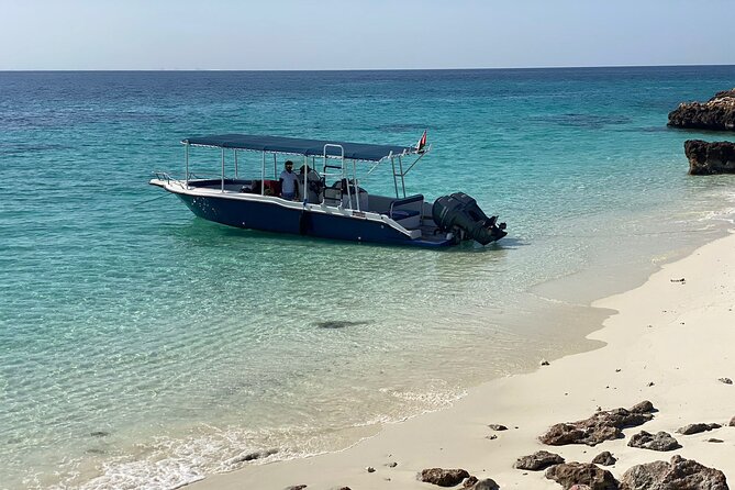 Snorkeling Adventure to Daymaniat Islands - Price and value: what $110 buys you in Oman waters