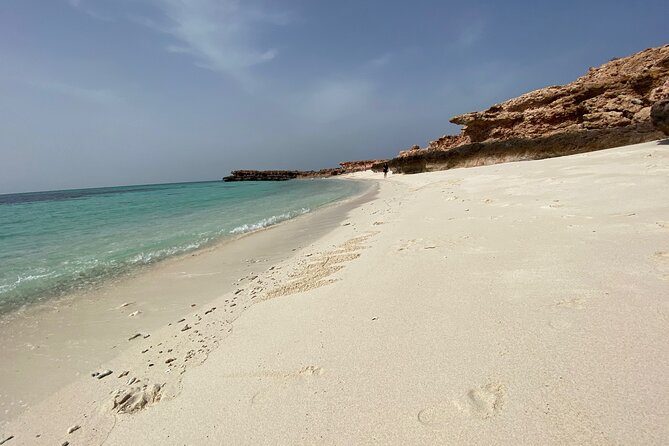 Snorkeling at Dimaniyat Islands and Dolphin Watching - Why Dimaniyat Islands Work So Well for Snorkeling in Muscat