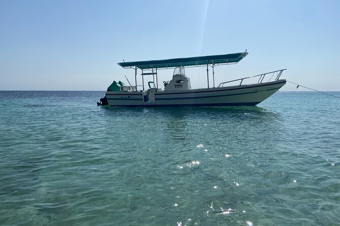 Snorkeling at Dimaniyat Islands and Dolphin Watching - Snacks, Drinks, and Small Comfort Wins on Board