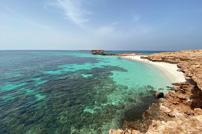 Snorkeling at Dimaniyat Islands and Dolphin Watching - What Could Go Wrong: Dolphin Frustration, Crowding Notes, and Gear Tweaks