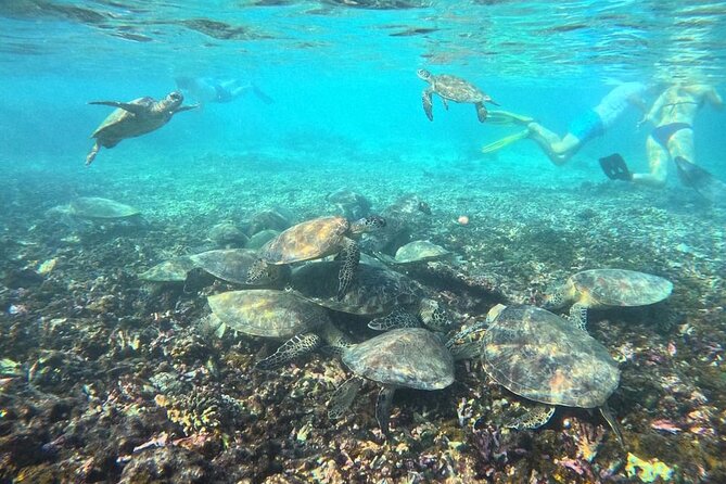 Snorkeling Experience at Ad Daymaniyat Islands in Muscat - The guides matter, especially Assaad and the two-guide setup