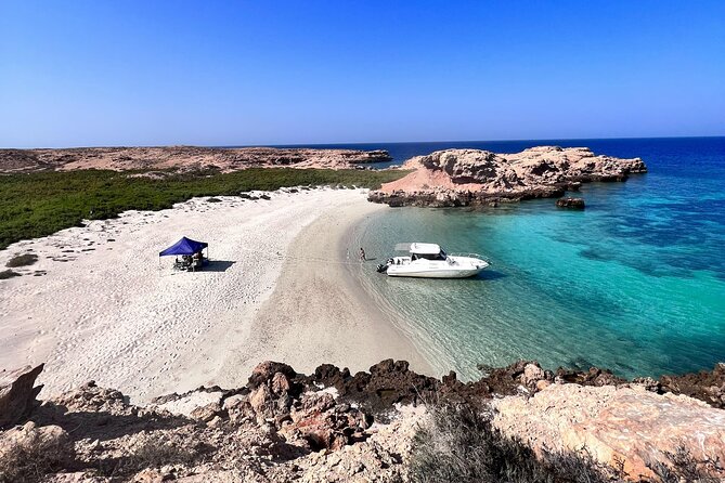 Snorkeling in Daymaniat Island - Daymaniat Island Snorkeling: What This Tour Feels Like