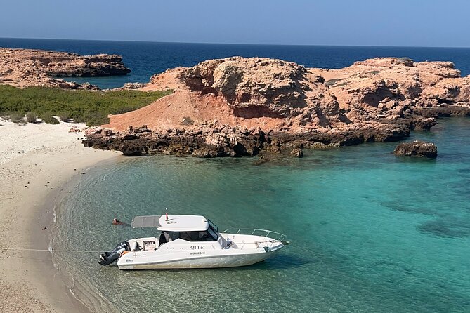 Snorkeling in Daymaniat Island - The Core Experience: Snorkeling for Turtles, Coral, and Fish