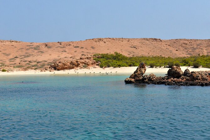 Snorkeling trips to Daymaniat Islands Sharing Trip - Quick hits before you book
