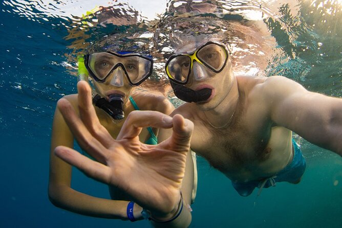 Snorkeling trips to Daymaniat Islands Sharing Trip - Daymaniyat Islands: a nature reserve built for turtles and coral